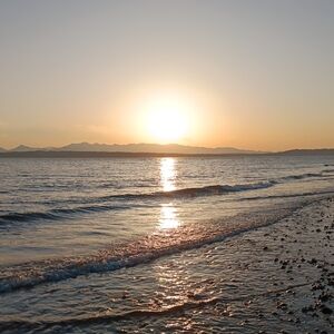 Meet your Posher, Limolile